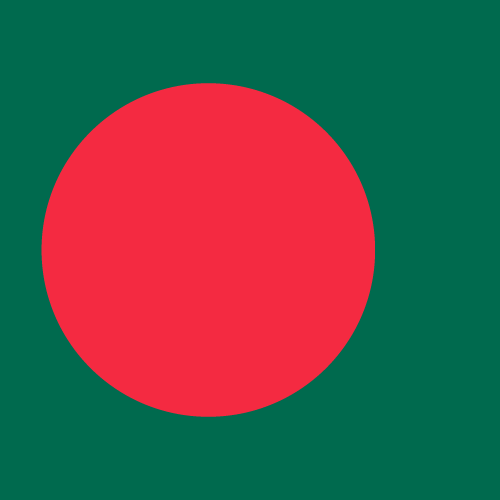 bn flag